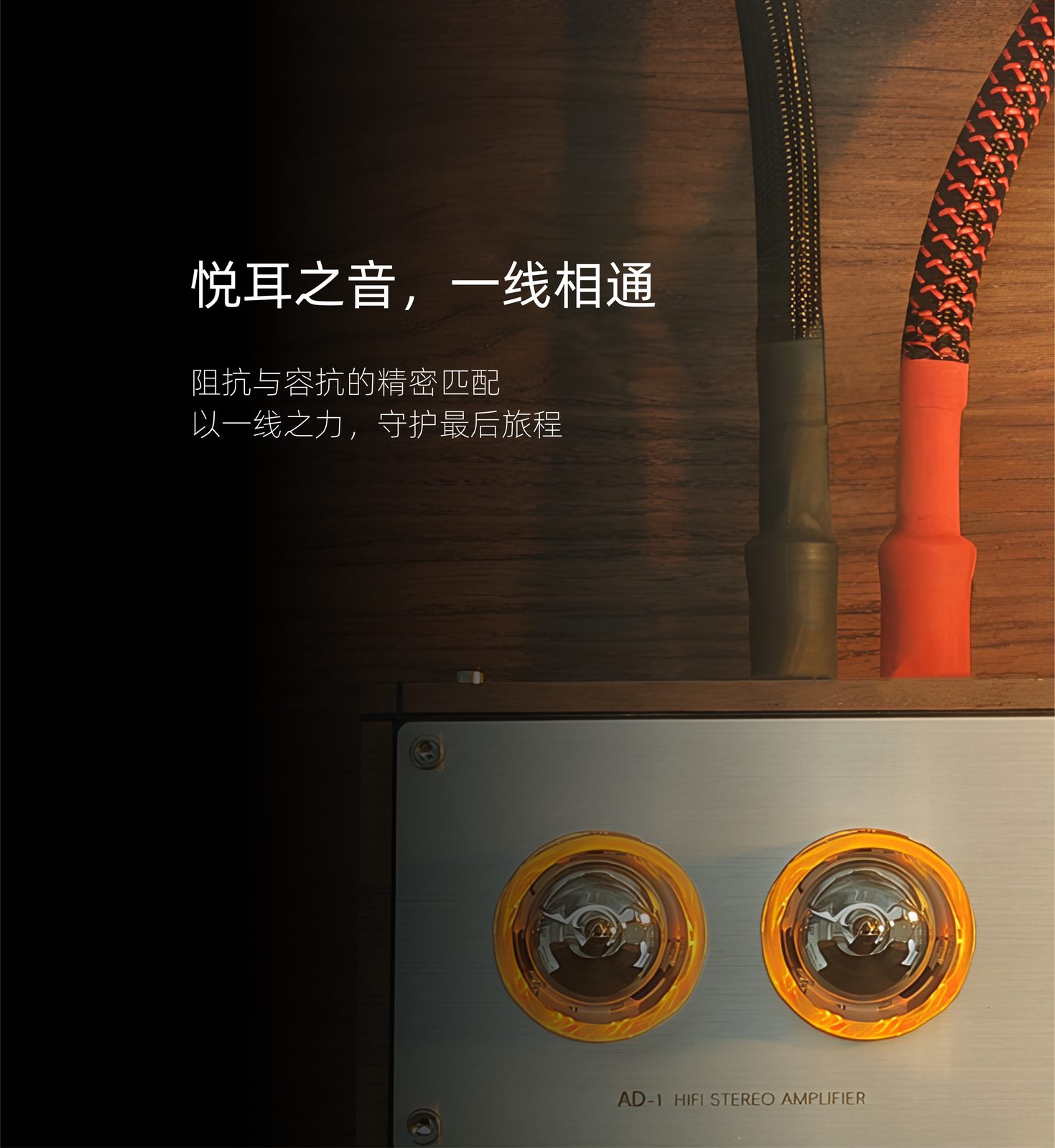 欧琴 AD-1 胆管与线材细节